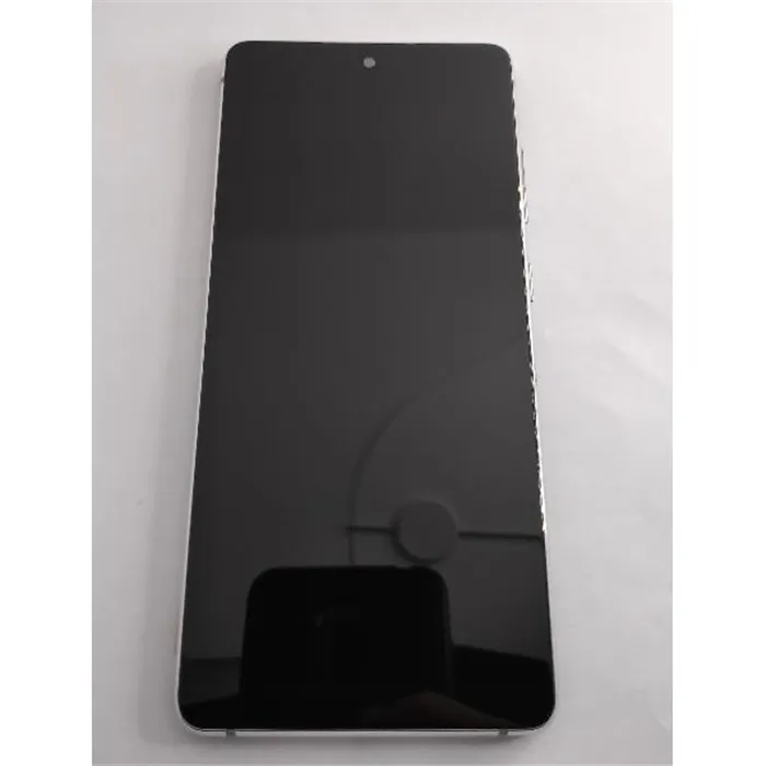 Pantalla TFT para Samsung Galaxy S20 FE 4G SM-G780 S20 FE 5G SM-G781 mas tactil negro mas marco plata compatible
