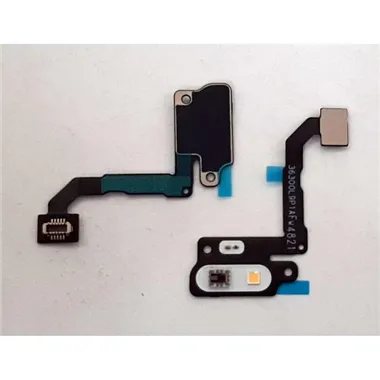 Flex flash para Xiaomi 12 Lite calidad premium
