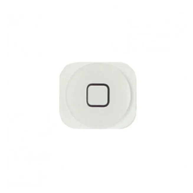 iPhone 5C boton home blanco